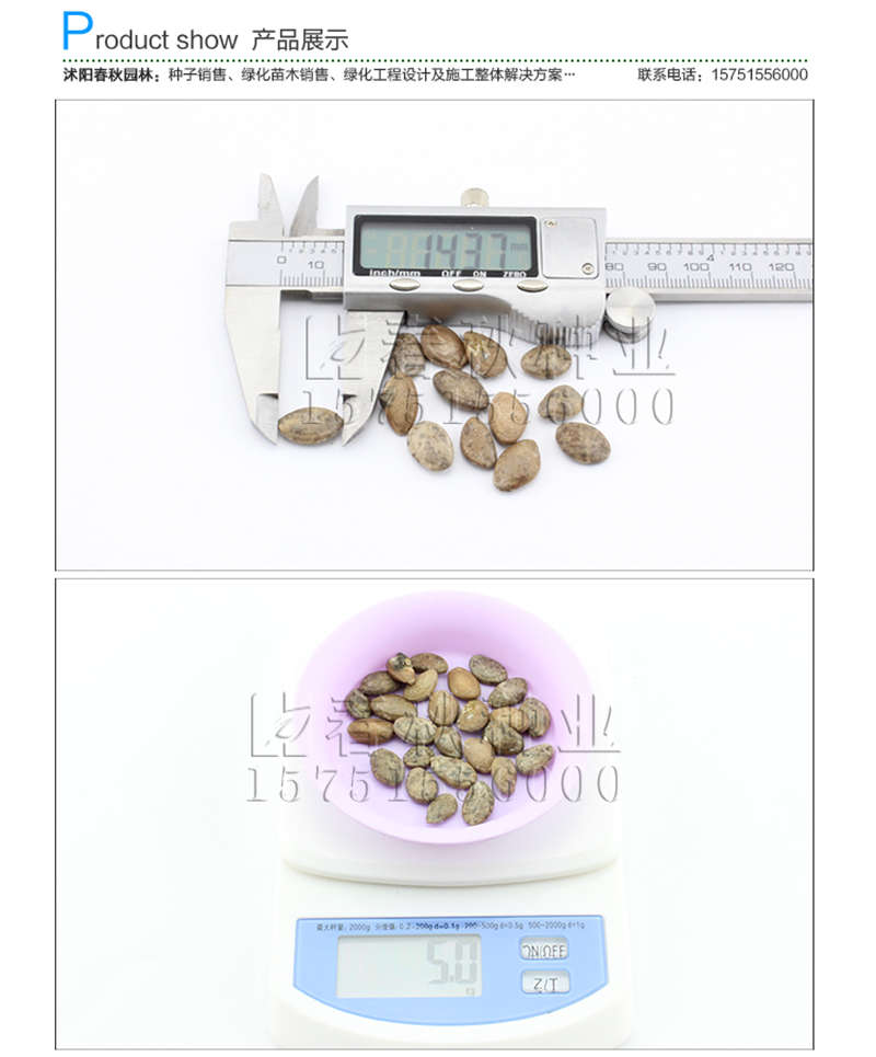 瓜蔞種子銷售參考價(jià)格