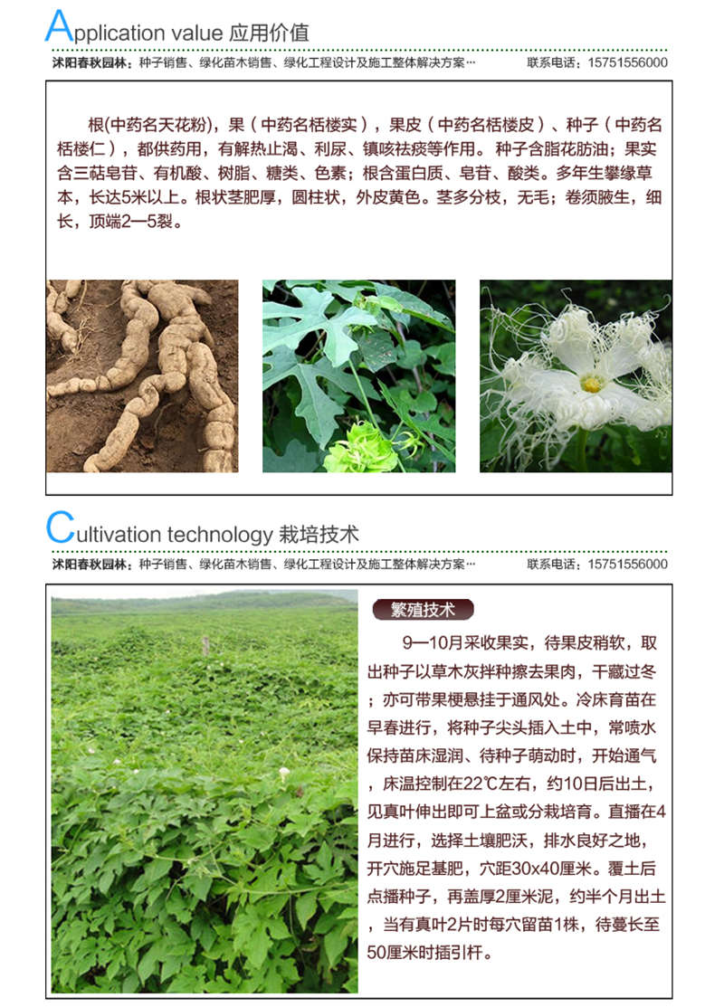 瓜蔞種子應(yīng)用價(jià)值及種植技術(shù)