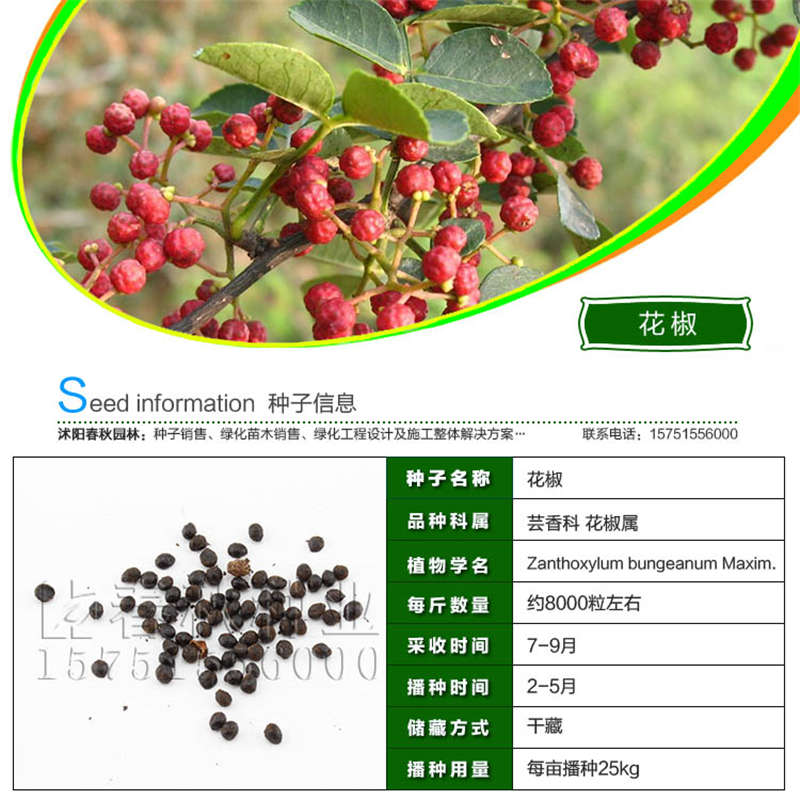 花椒種子基本信息